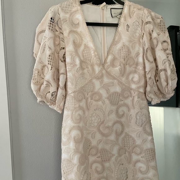 Alexis Blanca Dress NWT - Picture 4 of 6